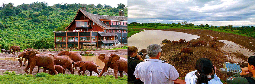 4 Days 3 Nights Thomson Falls Aberdare National Park Trip 4 Days 3 Nights Thomson Falls Aberdare National Park Trip