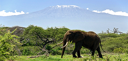 Mombasa Safari Tsavo West Amboseli 3 Days 2 Nights Mombasa Safari Tsavo West Amboseli 3 Days 2 Nights
