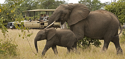 4 Days Mombasa Safari Tsavo East Amboseli Taita Hills 4 Days Mombasa Safari Tsavo East Amboseli Taita Hills