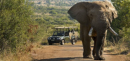4 Days Mombasa Safari Tsavo West Amboseli Tsavo East 4 Days Mombasa Safari Tsavo West Amboseli Tsavo East