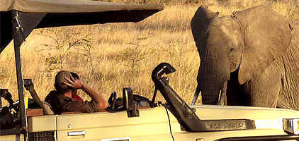 3-days-manyara-ranch-tour