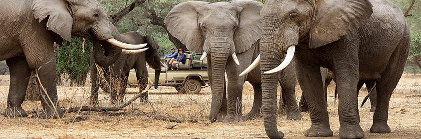 Lake Manyara National Park Tanzania Safari 3 Days Tour Lake Manyara National Park Tanzania Safari 3 Days Tour