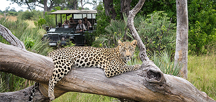 2 Days 1 Night Dar es salaam Safari Mikumi National Park 2 Days 1 Night Dar es salaam Safari Mikumi National Park