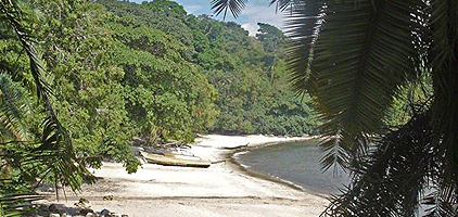 3 Day Rubondo Island Lake Victoria Tanzania Flying Safari 3 Day Rubondo Island Lake Victoria Tanzania Flying Safari