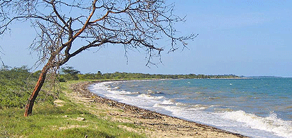 3 Days 2 Nights Saadani National Park Tanzania Safari 3 Days 2 Nights Saadani National Park Tanzania Safari