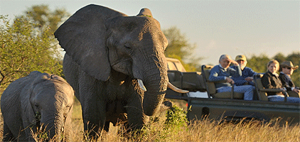 2 Days 1 Night Saadani National Park Road Safari 2 Days 1 Night Saadani National Park Road Safari