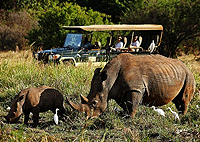 Elsas Kopje Boutique Safari Lodge Meru National Park Elsas Kopje Boutique Safari Lodge Meru National Park