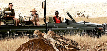 7 Day Kenya Luxury Flying Safari Lewa Downs Masai Mara 7 Day Kenya Luxury Flying Safari Lewa Downs Masai Mara