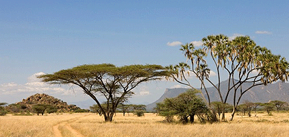 1 Day Samburu Helicopter Scenic Flight Safari 1 Day Samburu Helicopter Scenic Flight Safari