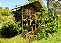 Tree House Cottage Nakuru Hotels Tree House Cottage Nakuru Hotels