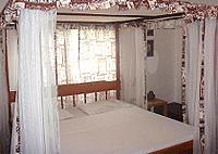 Frog Guesthouse Watamu Hotels Beach Resorts Accommodation Frog Guesthouse Watamu Hotels Beach Resorts Accommodation