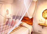 Gecko Resort Watamu Hotels Beach Resorts Accommodation Gecko Resort Watamu Hotels Beach Resorts Accommodation