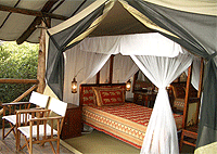 Fig Tree Camp Mara Talek Masai Mara Luxury Lodges Hotels Tented Safari Camps