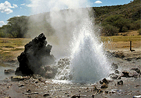 Lake Bogoria Game Reserve 2 Days 1 Night Safari Lake Bogoria Game Reserve 2 Days 1 Night Safari