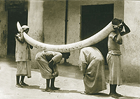 Zanzibar Day Trips City Tours Slave Routes of Zanzibar Guided Tour Zanzibar Day Trips City Tours Slave Routes of Zanzibar Guided Tour