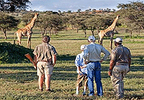 Swara Plains Wildlife Conservancy 2 Days 1 Night Holiday Swara Plains Wildlife Conservancy 2 Days 1 Night Holiday
