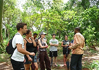 Zanzibar Day Trips City Tours Ufufuma Forest Zanzibar Day Tour Zanzibar Day Trips City Tours Ufufuma Forest Zanzibar Day Tour