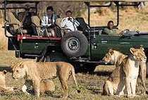 2 Days 1 Night Tsavo West National Park Luxury Flying Safari 2 Days 1 Night Tsavo West National Park Luxury Flying Safari