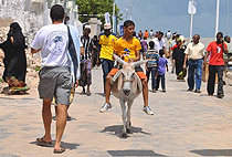 2 Days 1 Night Lamu Island Flying Holiday 2 Days 1 Night Lamu Island Flying Holiday