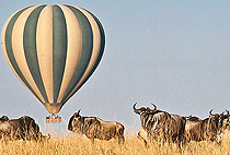 3 Days 2 Night Kenya Flying Safaris