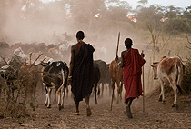 Arusha Cultural Day Tour Babati Hanang Tanzania