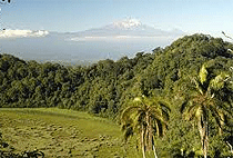 Arusha National Park Birding Safari 1 Day Tour 