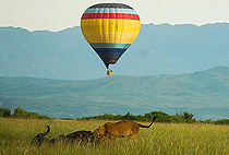 Hot Air Balloon Safaris Uganda 