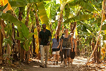 Arusha 1 Day Sakila Village Tour Stingless Bees Project 