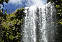 Mount Kenya Day Trip Hike Chogoria Route