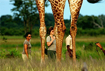 3 Day Safari Lake Nakuru Lake Baringo Lake Bogoria Naivasha