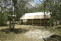 Enkolong Tented Budget Camp Masai Mara Game Reserve