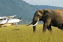 3 Days 2 Night Kenya Flying Safaris 