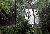 Gatamaiyu Riverine Walk Nairobi Day Tour 