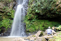 Gatamaiyu Riverine Walk Nairobi Day Tour