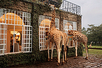 Giraffe Manor Boutique Hotel Nairobi Karen Kenya