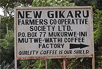 3 Days 2 Nights Kenya Coffee Farm Tea Plantation Tour
