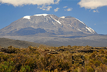 Climbing Mt Kilimanjaro 1 Day Shira Route