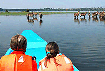 3 Day Safari Lake Nakuru Lake Baringo Lake Bogoria Naivasha