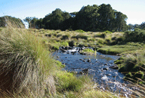 Mount Kenya Day Trip Hike Chogoria Route
