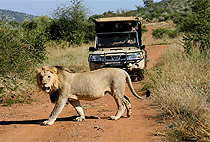 3 Day Safari Lake Nakuru Lake Baringo Lake Bogoria Naivasha