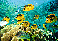 Malindi Watamu Full Day Trip Excursion