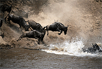 Masai Mara Luxury Flying Safari 3 Days 2 Nights Package