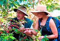 Materuni Village Moshi Cultural Full Day Tour 