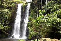 Materuni Village Moshi Cultural Full Day Tour 