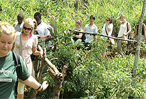 Materuni Village Moshi Cultural Full Day Tour 