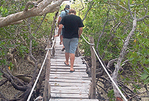Mida Creek Reserve Malindi Day Tour