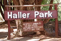  Mombasa Town Full Day Tour