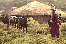 1 Day Arusha Cultural Experience Tour Monduli Juu Tanzania