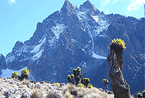 Mount Kenya Climb 1 Day Hike Naro Moru Route