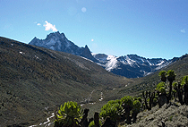 Mount Kenya Day Trip Hike Sirimon Route 